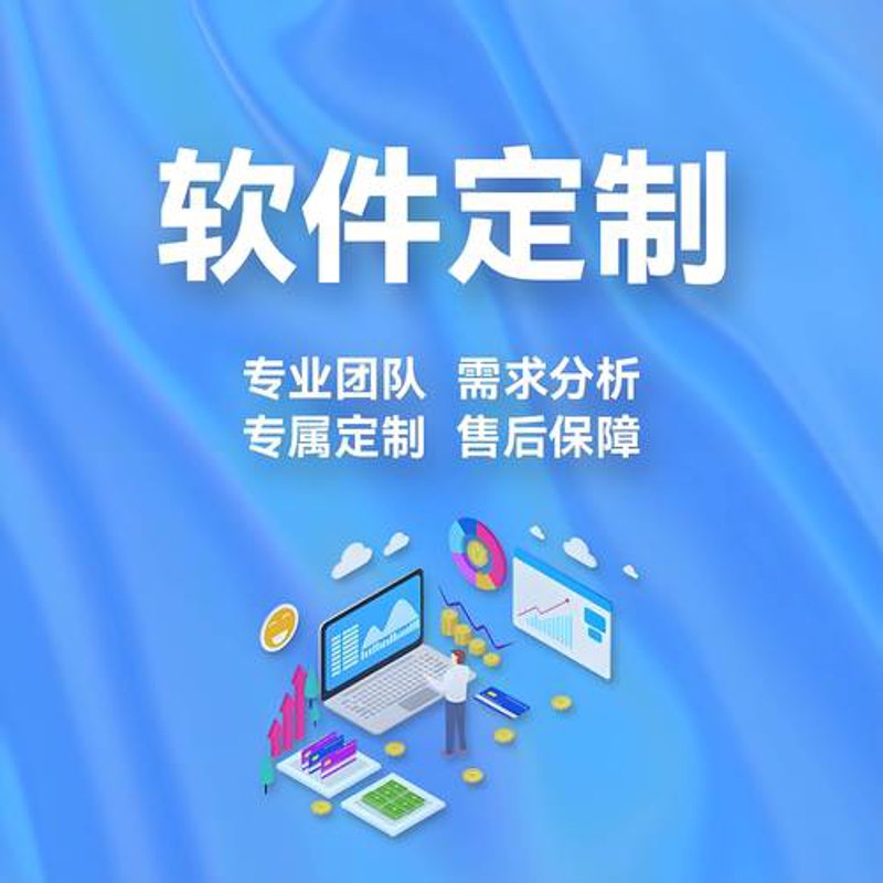上海软件开发:引领数字化转型的风向标